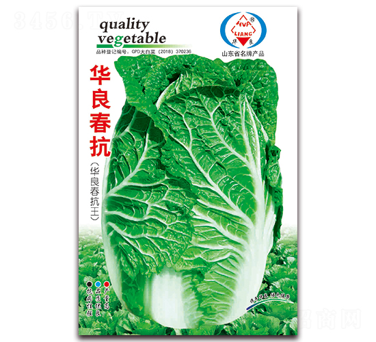 �A������-��ײ˷N��-�A���N�I(y��)