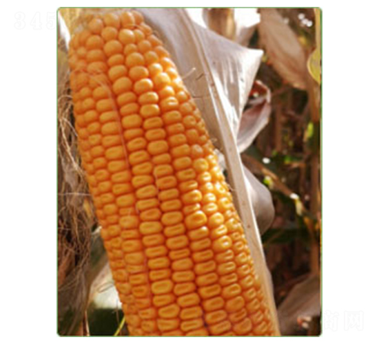 �A��829-���׷N��-�A���N�I(y��)