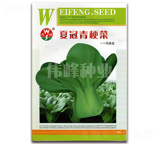 �Ĺ��๣��-�๣�˷N��-����N�I(y��)