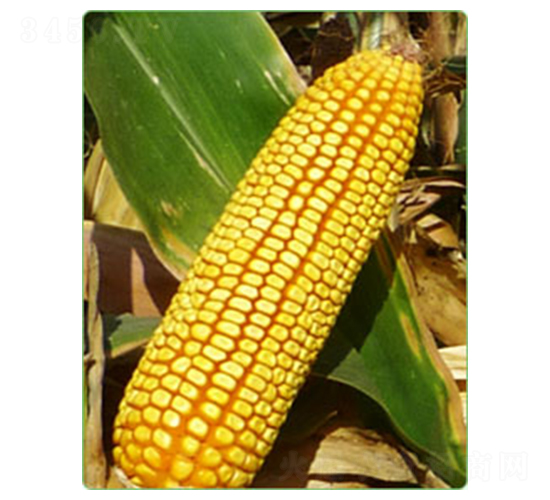 ����M753-���׷N��-�A���N�I(y��)