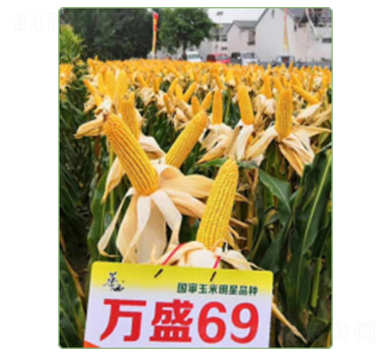 �fʢ69-���׷N��-�A���N�I(y��)