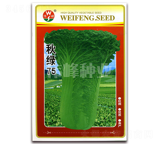 ��G75-�ײ˷N��-����N�I(y��)