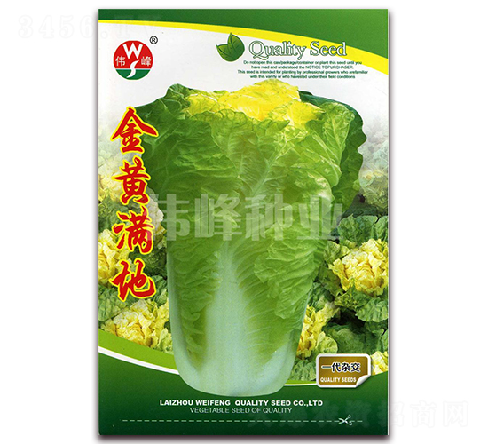 ���S�M��-�ײ˷N��-����N�I(y��)