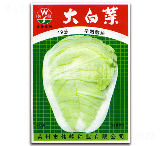 ��ײ�19̖(h��o)-�ײ˷N��-����N�I(y��)