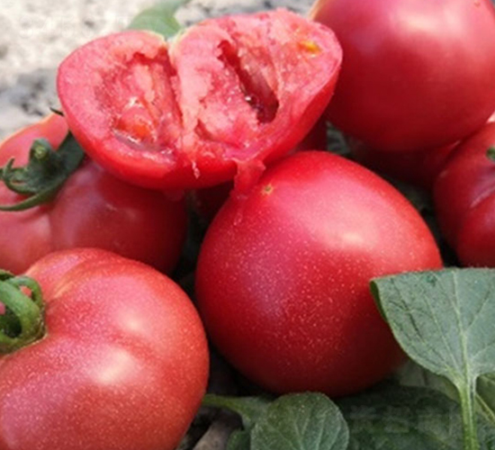 DLR-����1̖(h��o)-���ѷN��-������