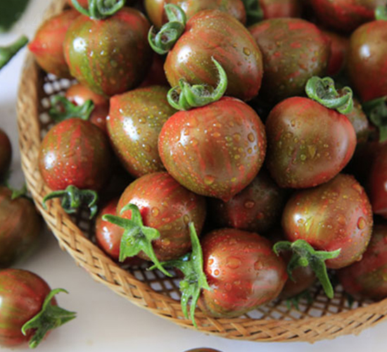 ����-���ѷN��-������