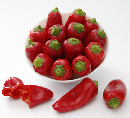 DLR-����-�����N��-������