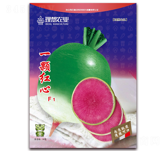 һ�w�t��-�}���N��-�����r(n��ng)�I(y��)