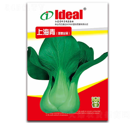 �Ϻ���-С�ײ˷N��-�����r(n��ng)�I(y��)