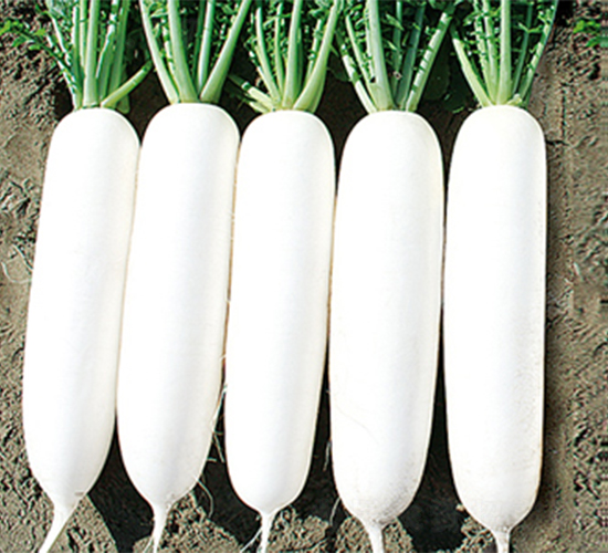 ���r(n��ng)301-�}���N��-���߷N��