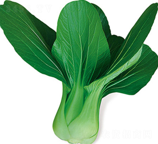 �ă�(y��u)��-�ײ˷N��-���߷N��