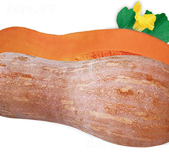 �����Ϲ�-�ϹϷN��-���߷N��