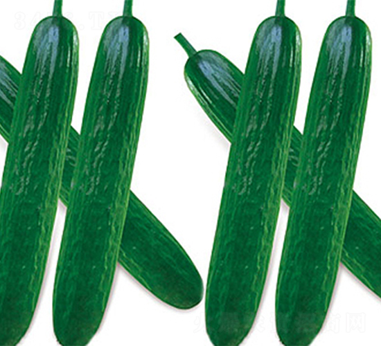 ��ˮ3̖(h��o)-�S�ϷN��-���߷N��