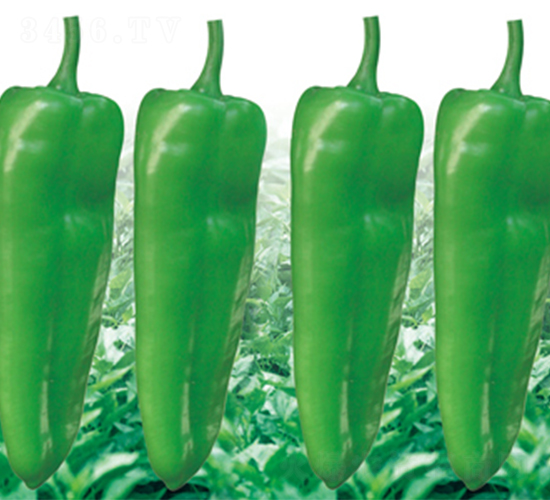 �K��15̖-�����N��-���߷N��