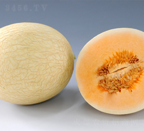 �K��4̖-��ϷN��-���߷N��