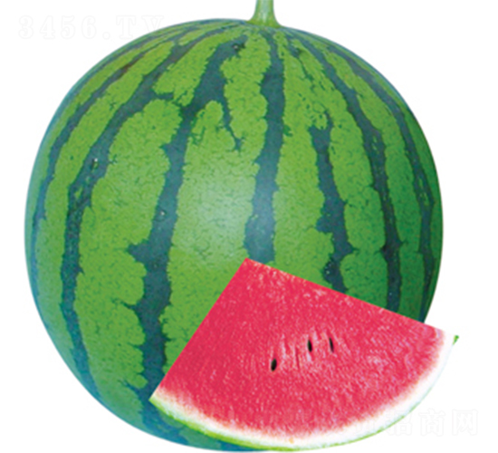 �翹����-���ϷN��-���߷N��