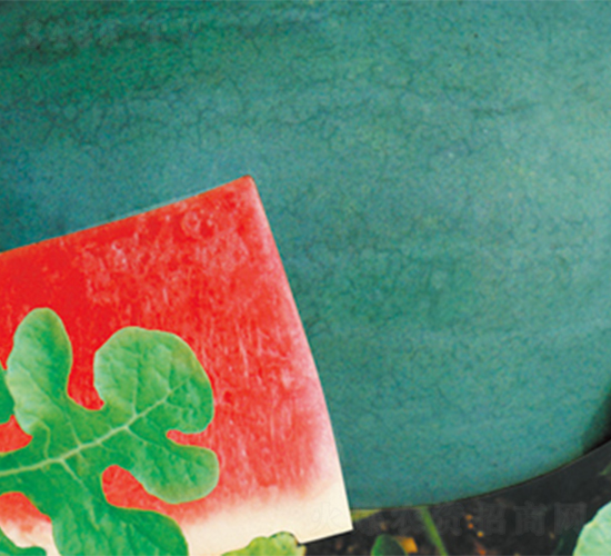 �K��5̖-���ϷN��-���߷N��