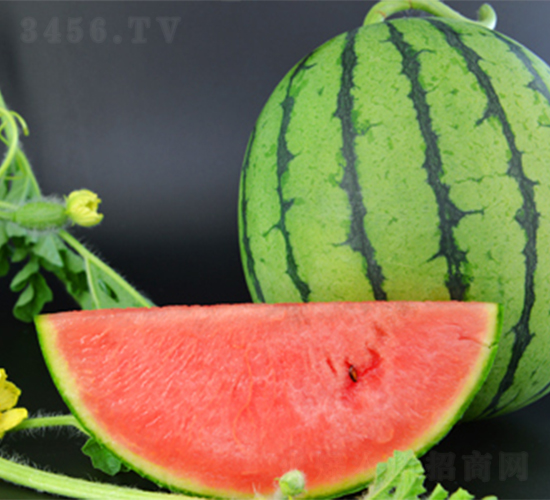 �K��(m��ng)6̖(h��o)-���ϷN��-���߷N��