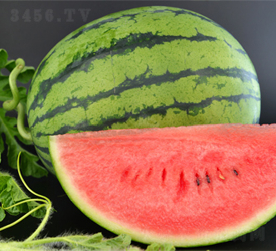 �K��5̖(h��o)-���ϷN��-���߷N��