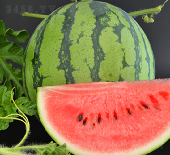 �K��(chu��ng)3̖-���ϷN��-���߷N��