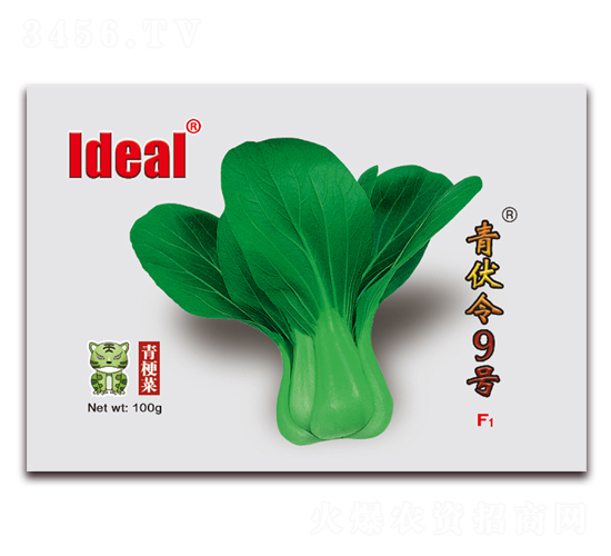 �����9̖(h��o)-�๣�˷N��-�����r(n��ng)�I(y��)