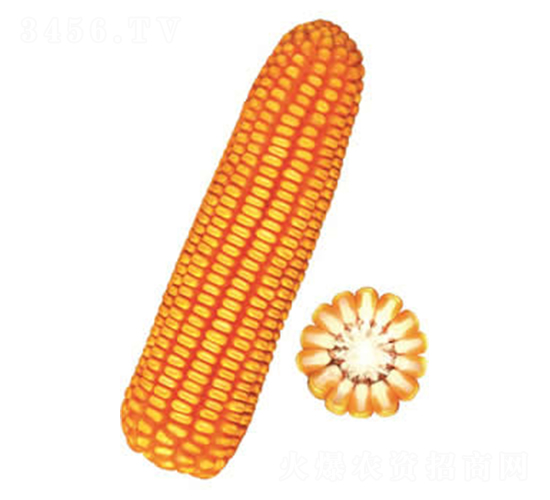 �F��38̖(h��o)-���׷N��-�F�зN�I(y��)