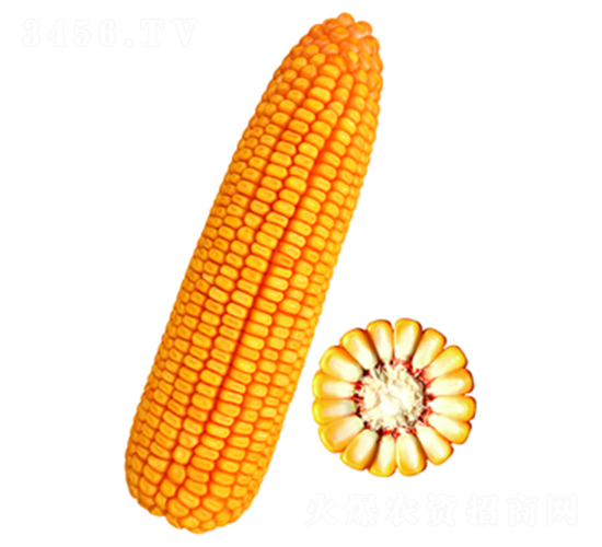 �F��30̖(h��o)-���׷N��-�F�зN�I(y��)