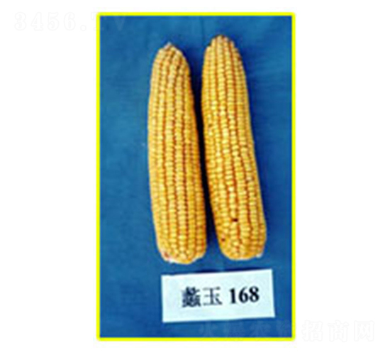 ���168-���׷N��-���