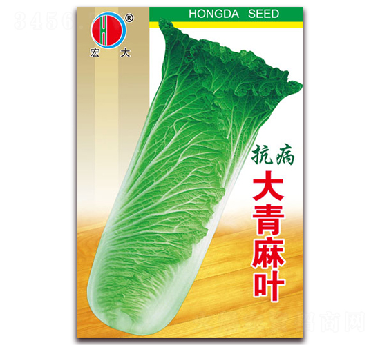 �������~-�ײ˷N��-�����N�I(y��)