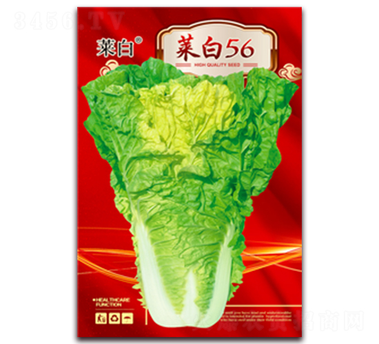 �˰�56-�ײ˷N��-�����N�I(y��)