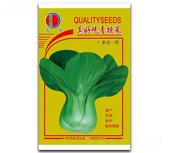 ��ó��๣��-�๣�˷N��-�����N�I(y��)