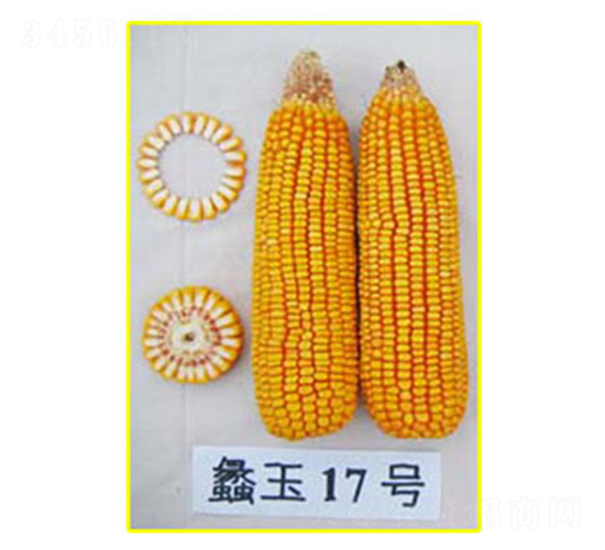 ���17̖(h��o)-���׷N��-���