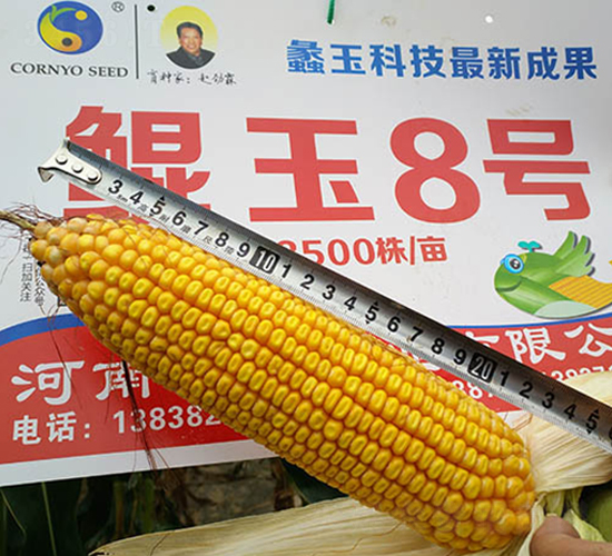 �H��8̖-���׷N��-���