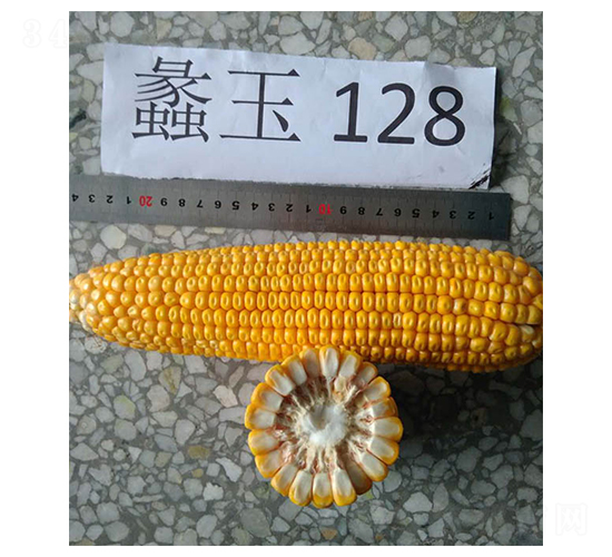 ���128-���׷N��-���