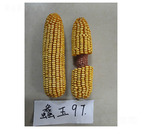 ���97-���׷N��-���