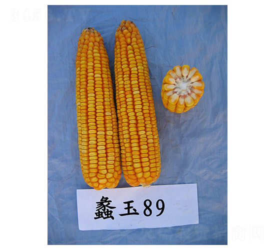 ���89-���׷N��-���