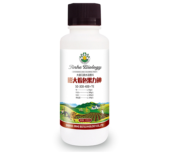 �����ɫ������-�������