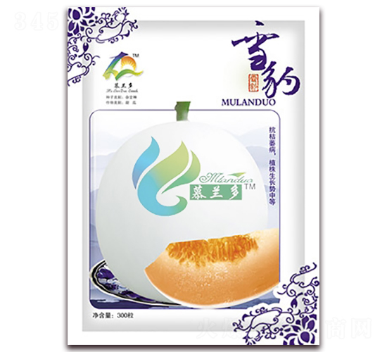 ѩ��-��ϷN��-Ľ�m��