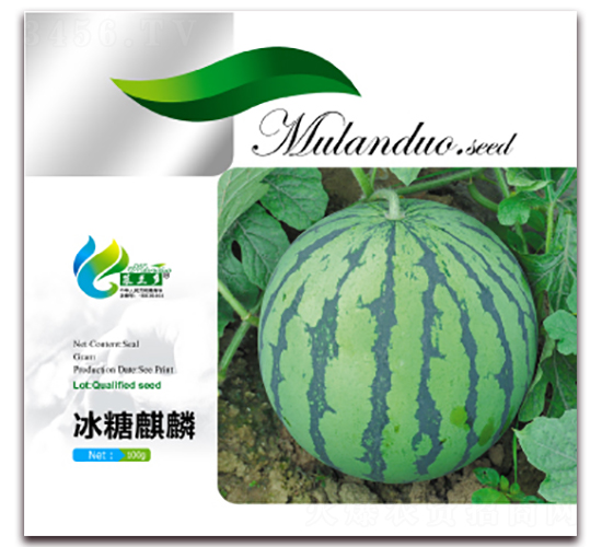 ��������-���ϷN��-Ľ�m��