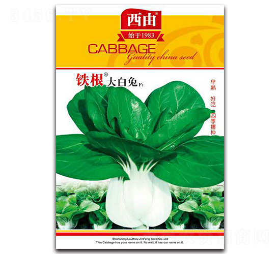 �F�������-�ײ˷N��-����