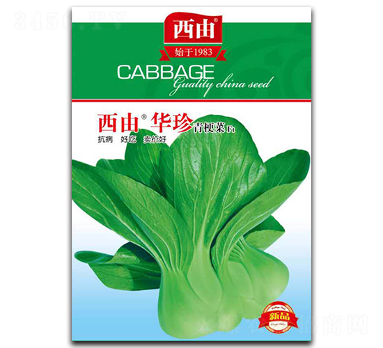 �����A��-�ײ˷N��-����