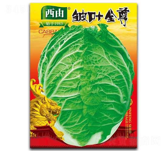 ���~����-�ײ˷N��-����