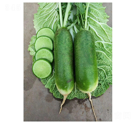 ����Ƥ�}��-�}���N��-(li��n)��(chu��ng)