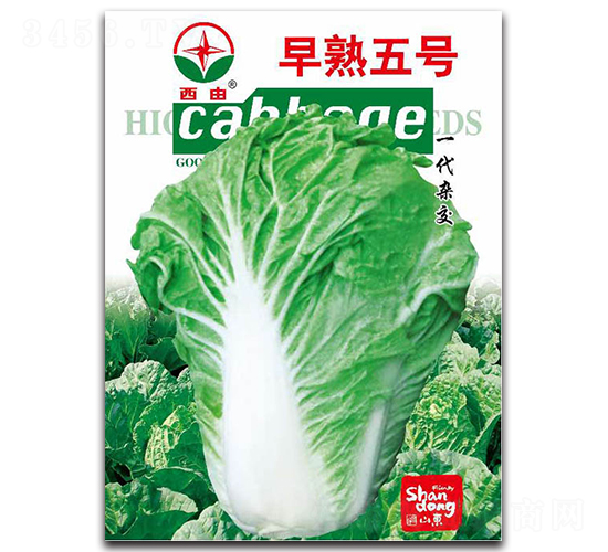 ������̖-�ײ˷N��-����