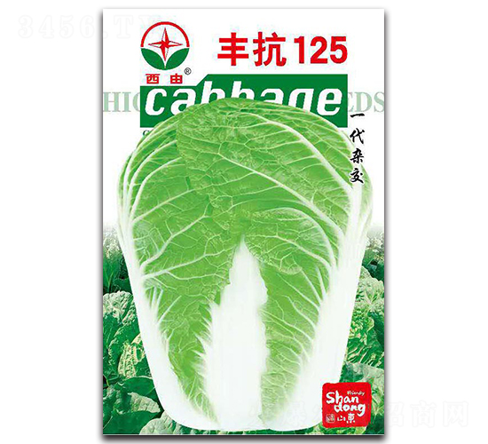 �S��125-�ײ˷N��-����