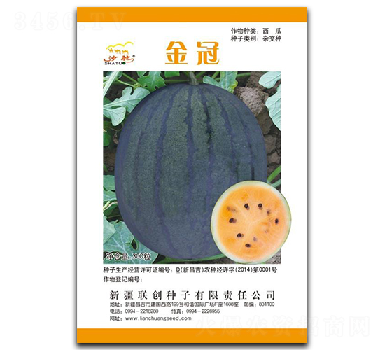 ���-���ϷN��-(li��n)��(chu��ng)