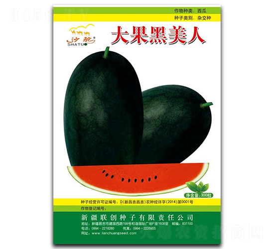 ���������-���ϷN��-(li��n)��(chu��ng)