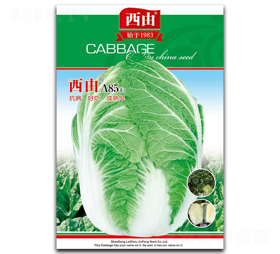 ����A85-�ײ˷N��-����