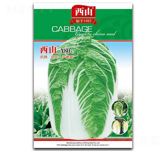 ����A80-�ײ˷N��-����