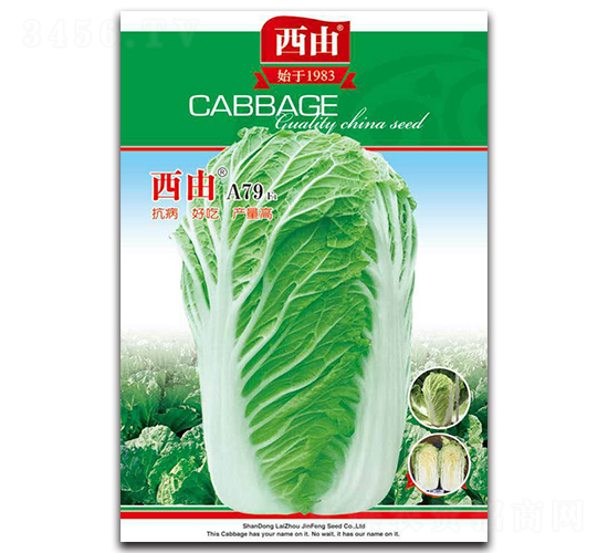 ����A79-�ײ˷N��-����